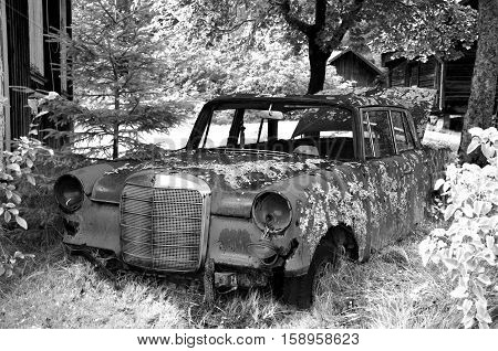 old wreck car in car cemetery in sweden landscape