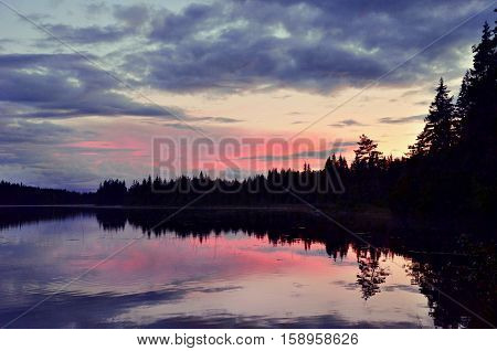 Sky and forest reflecting in lake during sunset