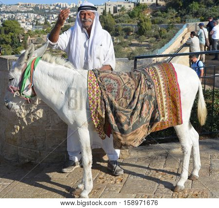 JERUSALEM, ISRAEL 26 10 2016: Arab man in national clothes and his donkey in mountain of olives. It's the most disputed holy ground between Muslims and Jewish people.
