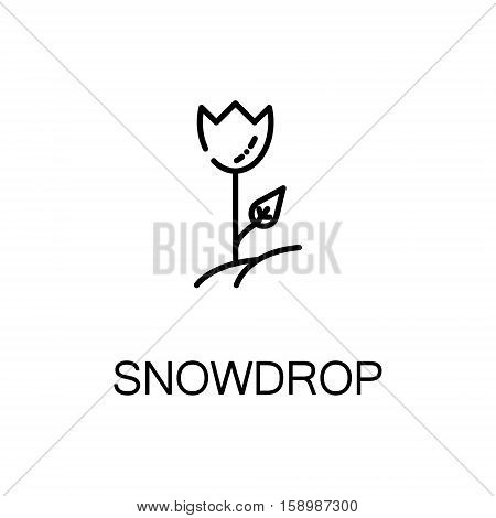 Snowdrop flat icon. Single high quality outline symbol of spring for web design or mobile app. Thin line signs of snowdrop for design logo, visit card, etc. Outline pictogram of snowdrop