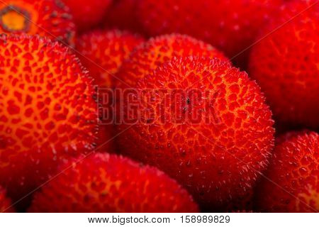 background of red fruits of Arbutus unedo.