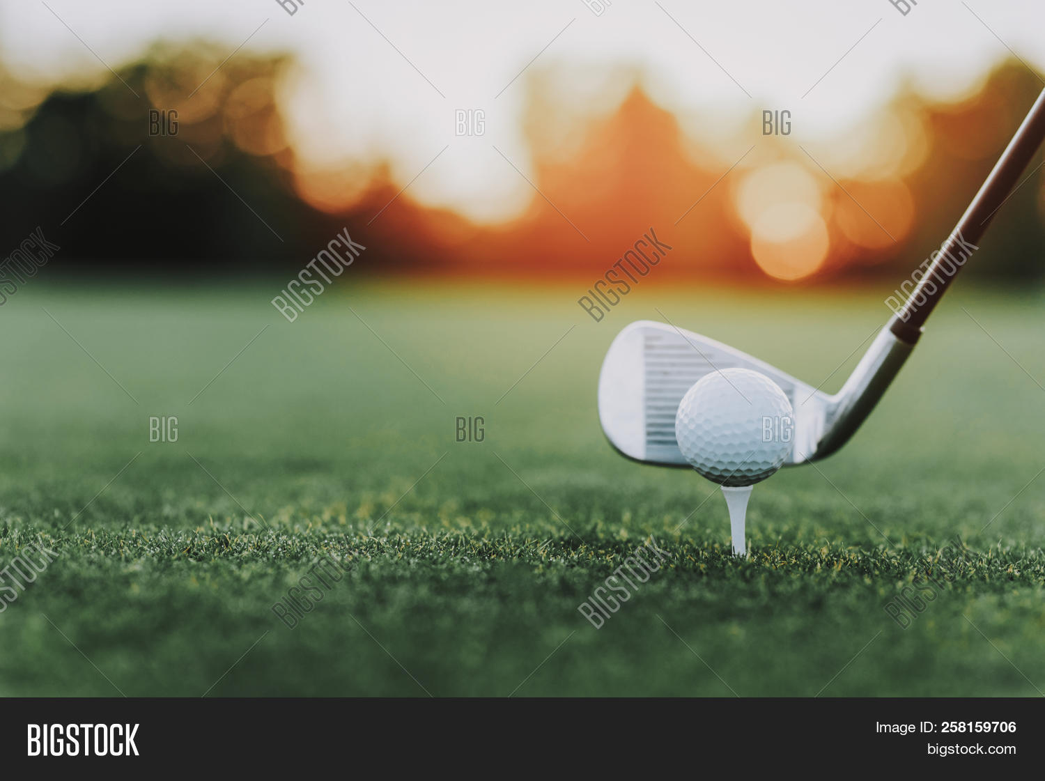 Golf Stick Golf Ball Image & Photo (Free Trial) | Bigstock