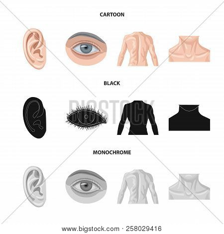 Vector Design Of Human And Part Symbol. Set Of Human And Woman Stock Vector Illustration.