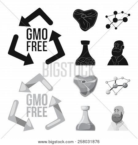 Vector Illustration Of  And  Symbol. Set Of  And  Vector Icon For Stock.