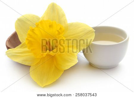 Flower Daffodil With Extract In A Bowl Over White Background