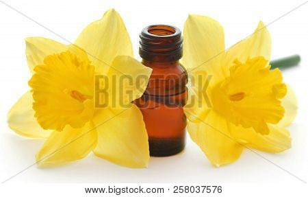 Flower Daffodil With Essential Oil In A Glass Bottle Over White Background