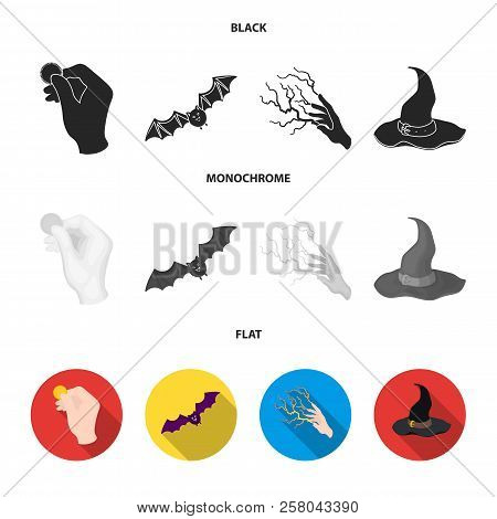 Focus With A Coin, A Bat, A Mage's Hat, A Lightning-fast Spell.black And White Magic Set Collection 