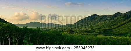 Panorama Landscape Of The Tropical Forest, The Front Of The Fore