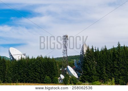 Big Satellite Dish Antennas Hidden In Green Pine Tree Forest. Satellite Communication Center In Chei