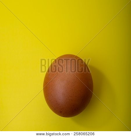 Brown Egg On A Yellow Background. Element Of Design. Web Banner.