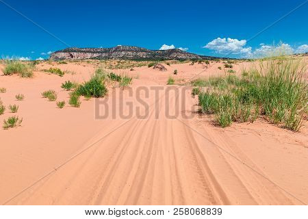 Road In The Sand Dunes Of The Desert, Coral Pink Sand Dunes State Park, Kanab, Utah.