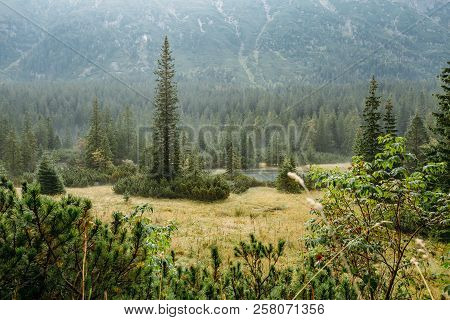 Tatra National Park, Poland. Small Mountains Lake Zabie Oko Or Ma E Morskie Oko In Summer Morning. F