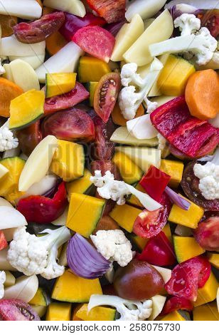 Sliced Vegetables Autumn Different Colors Orange Juicy