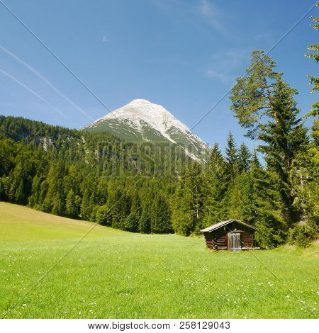 Alpine Meadow With Wooden Hut And Hohe Munde Mountain Behind, Tyrol, Austria
