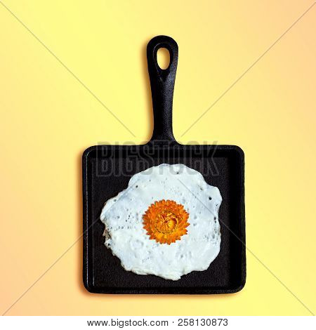 Square Cast-iron Frying Pan With Fried Eggs, Flower Helichrysum Instead Of Yolk. Artificial Objects 