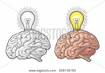 Human Anatomy Brain And Glowing Light Incandescent Bulb. Vector Engraving