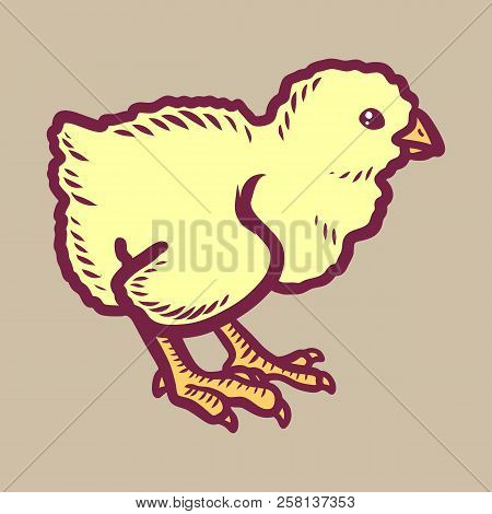 Chick Icon. Hand Drawn Illustration Of Chick Vector Icon For Web Design