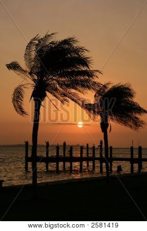 Sonnenaufgang silhoutte