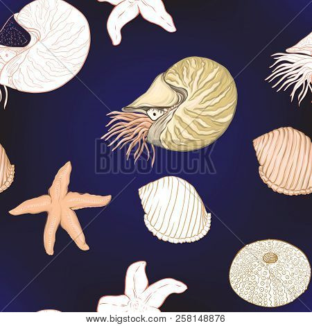 Sea World Seamless Pattern, Background. Stock Vector Illustration.