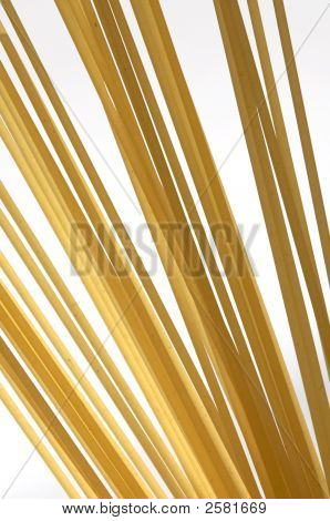 Spaghetti