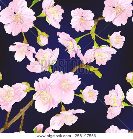 Seamless Pattern, Background With Blooming Cherry Japanese Sakura