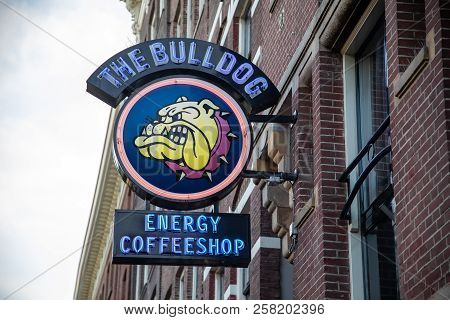 The Famous Coffeshop Bulldog In Amsterdam City, Netherlands