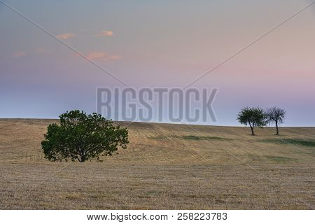 Three Trees On A Field In Valveron During Sunset.