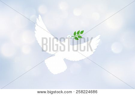 White Dove Carrying Leaf Branch And International Day Of Peace. World Water Day. Vector Image On Blu