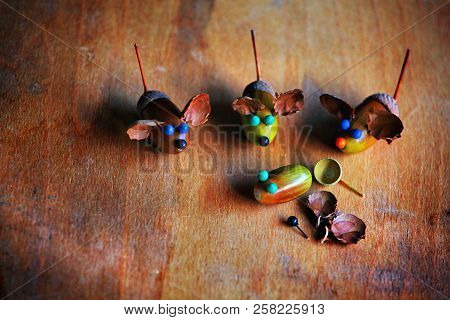Handmade Mouse Acorn Wooden Sharp Table Day Light