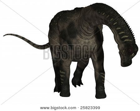 Antarctosaurus - 3D Dinosaur