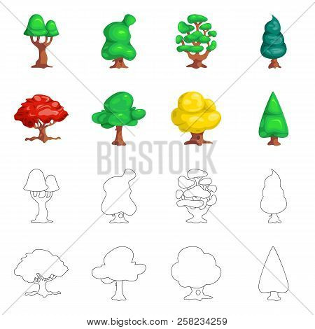 Isolated Object Of Tree And Nature Icon. Set Of Tree And Crown Vector Icon For Stock.