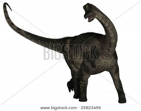 Antarctosaurus - 3D Dinosaur