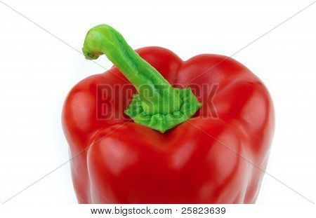 Papryka