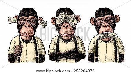 Three Wise Monkeys. Not See, Not Hear, Not Speak. Vintage Engraving