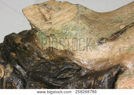 Restoration: Close Up. Conservation Of Paintings. Conservation Of Sculptures