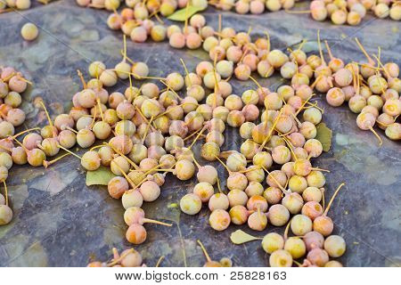 Ginkgo Biloba frugter bunke liggende Over bladene, udendørs skud