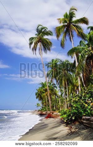 Seascape of the Caribbean Coast in Colombia, South America