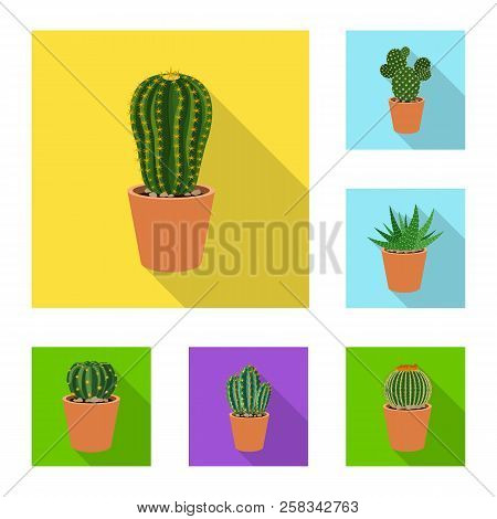 Vector Design Of Cactus And Pot Icon. Set Of Cactus And Cacti Stock Vector Illustration.