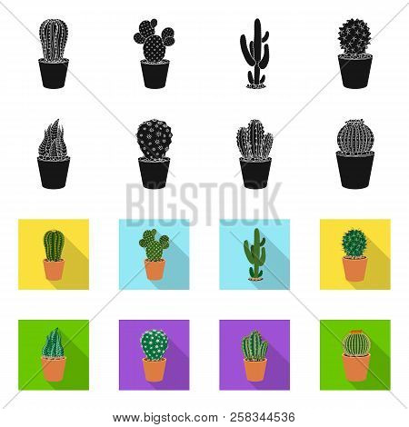Vector Design Of Cactus And Pot Symbol. Set Of Cactus And Cacti Vector Icon For Stock.