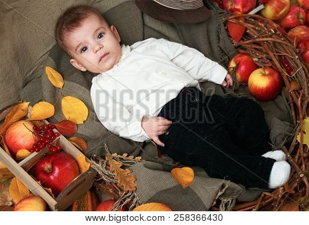 autumn concept - child boy lie on yellow leaves with fruits and vegatbles, red apples and pumpkins