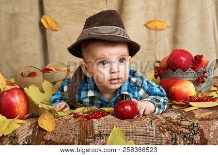 autumn concept - child boy lie on yellow leaves with fruits and vegatbles, red apples and pumpkins
