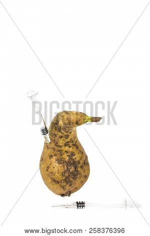 Close-up Boring Trace Of A Codling Moth Cydia Pomonella, In A Wormy Pear. On White Background. With 
