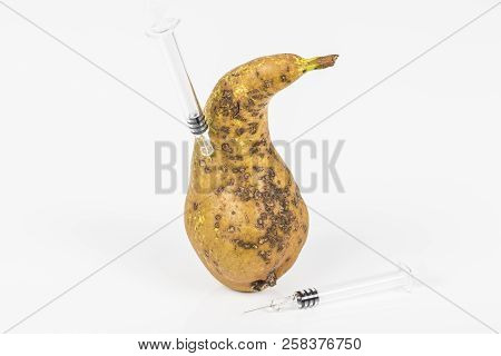 Close-up Boring Trace Of A Codling Moth Cydia Pomonella, In A Wormy Pear. On White Background. With 