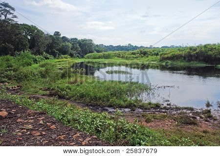 Nei pressi di Ruwenzori nell'Africa