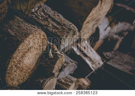 Firewood For The Winter, Stacks Of Firewood, Pile Of Firewood.