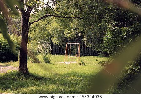 Outdoor, A Good Morning Teeterboard Trees Green