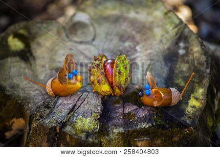 Handmade Mouse Acorn Autumn Season Forest Chestnut