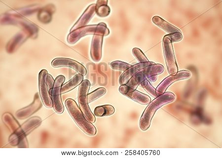 Vibrio Cholerae Bacteria, 3d Illustration. Bacterium Which Causes Cholera Disease And Is Transmitted