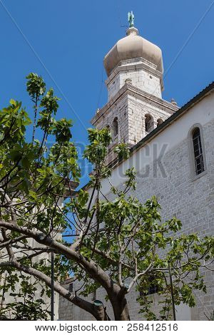 The Krk Cathedral (cathedral Of The Assumption Of The Blessed Virgin Mary). View On The Tower. Tree 