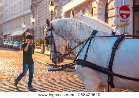 Vienna, Austria - 19.08.2018: Horse-drawn Carriage Or Fiaker, Popular Tourist Attraction, On Michael